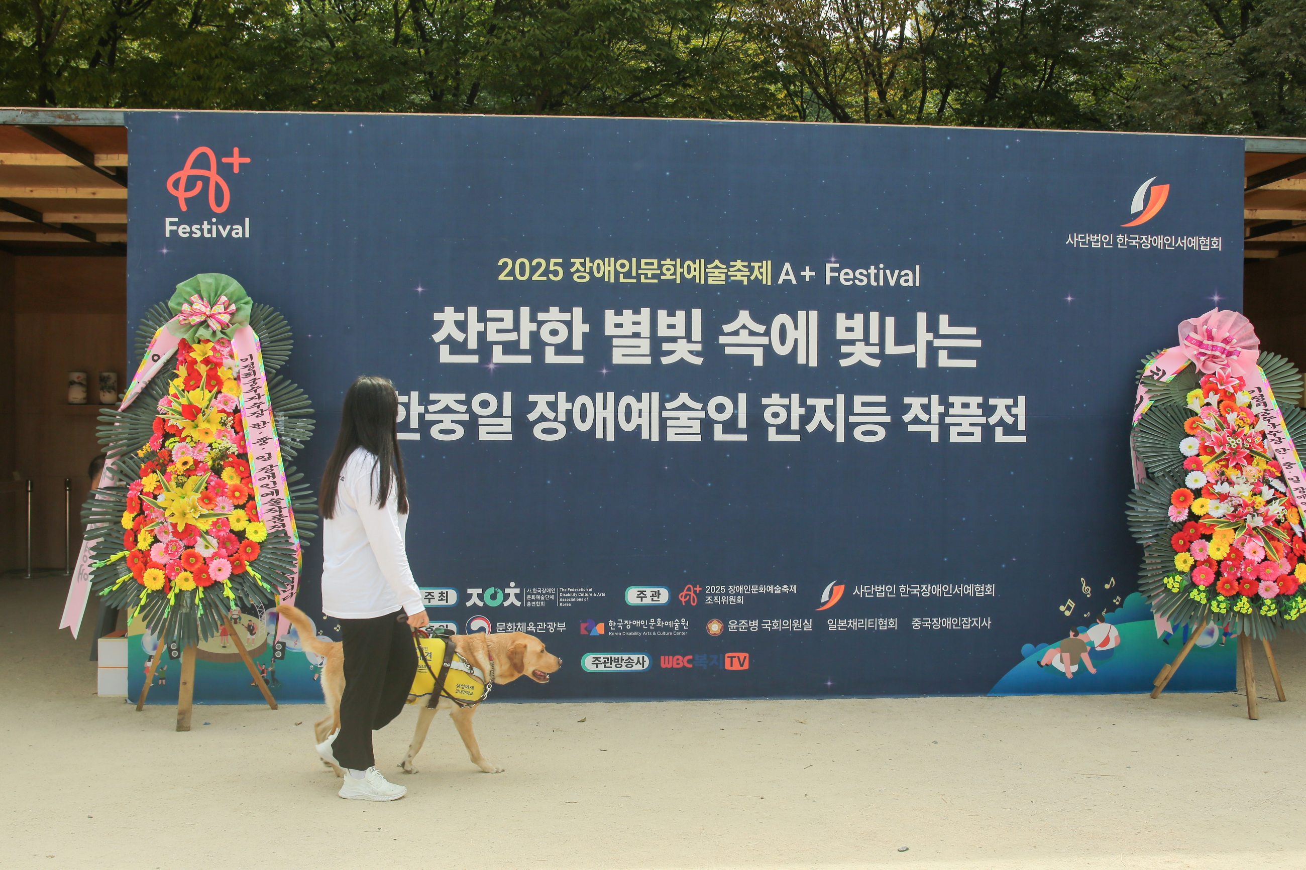 2025 장애인문화예술축제 A+Festival - 찬란한 별빛 속에 빛나는 한중일 장애예술인 한지등 작품전 - 사진